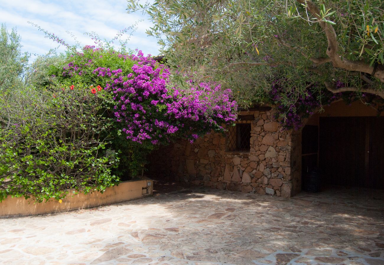 Villa Alberto - giardino con siepi mediterranee in villa in affitto a Monte Contros