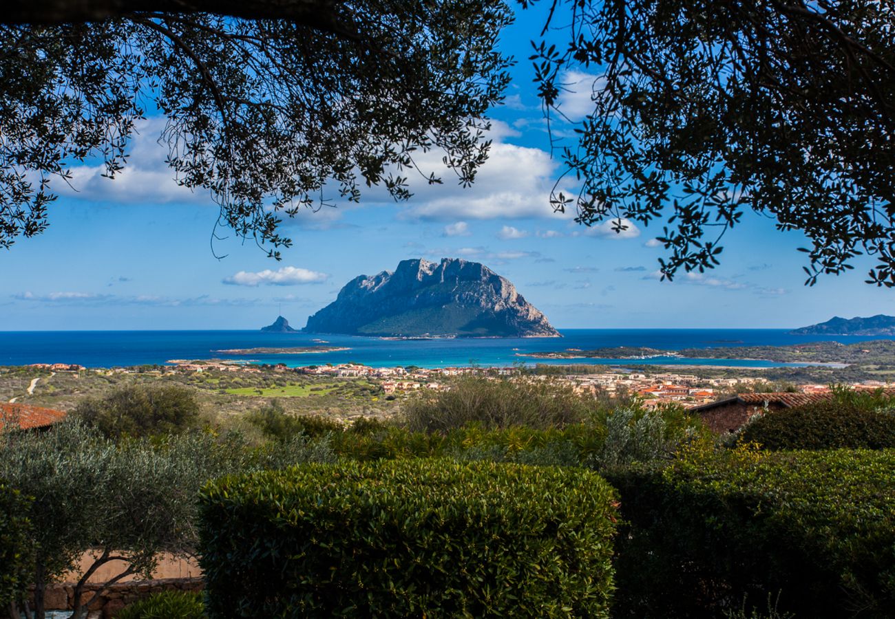 Villa a Porto San Paolo - Villa Alberto - incredibile vista su Tavolara