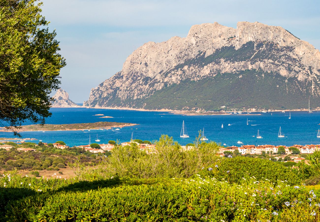 Villa Alberto - giardino curato con vista sull'isola di Tavolara in Sardegna