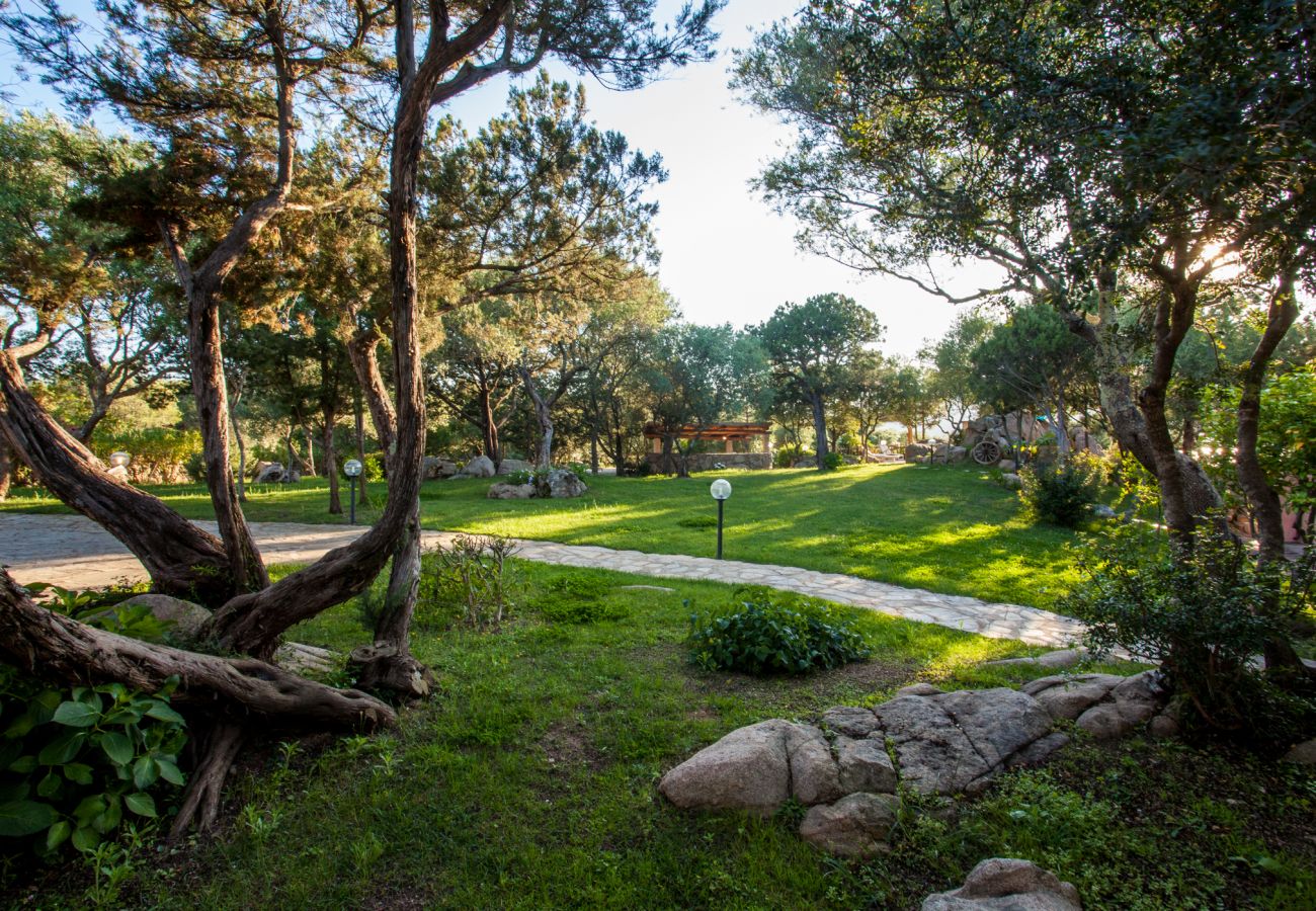 Villa Sa Jaga - giardino con prato verde, villa in affitto vicino a Porto Rotondo