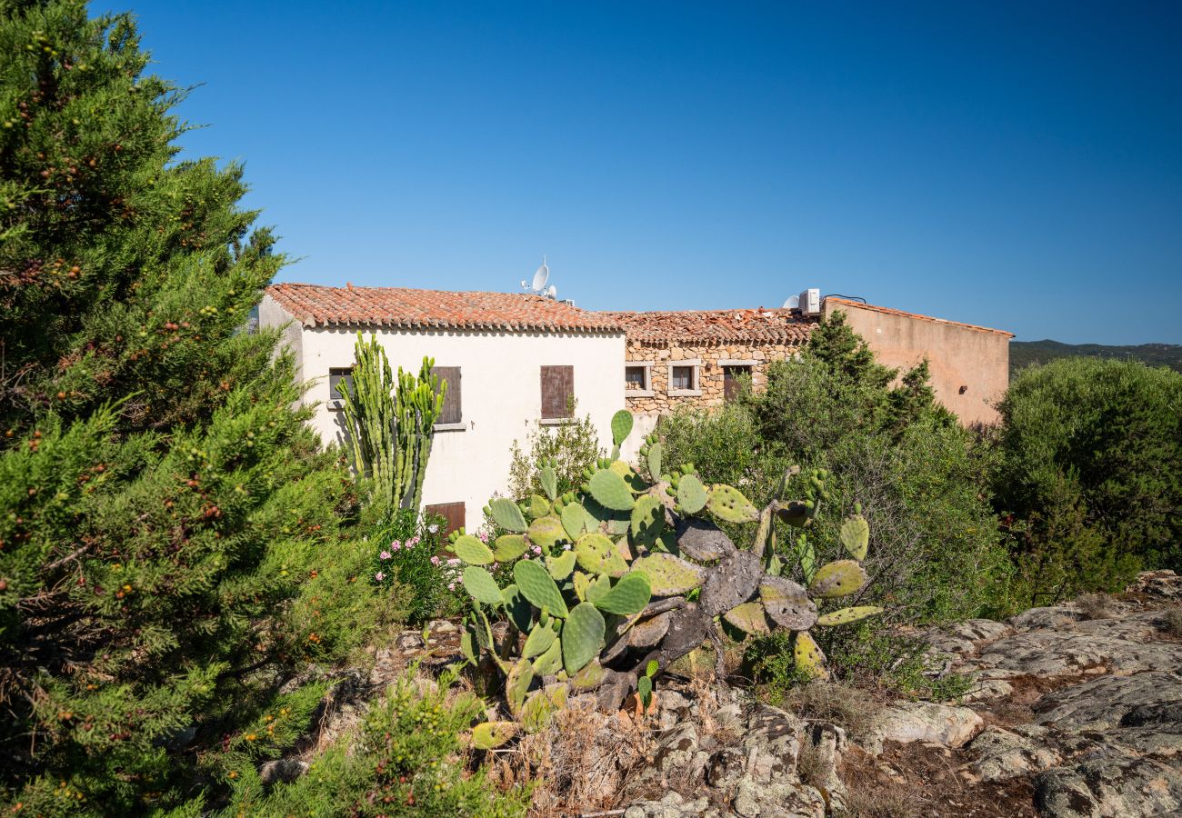 Appartamento a Porto Rotondo - Caletta Nest 108 - casa vacanze con piscina