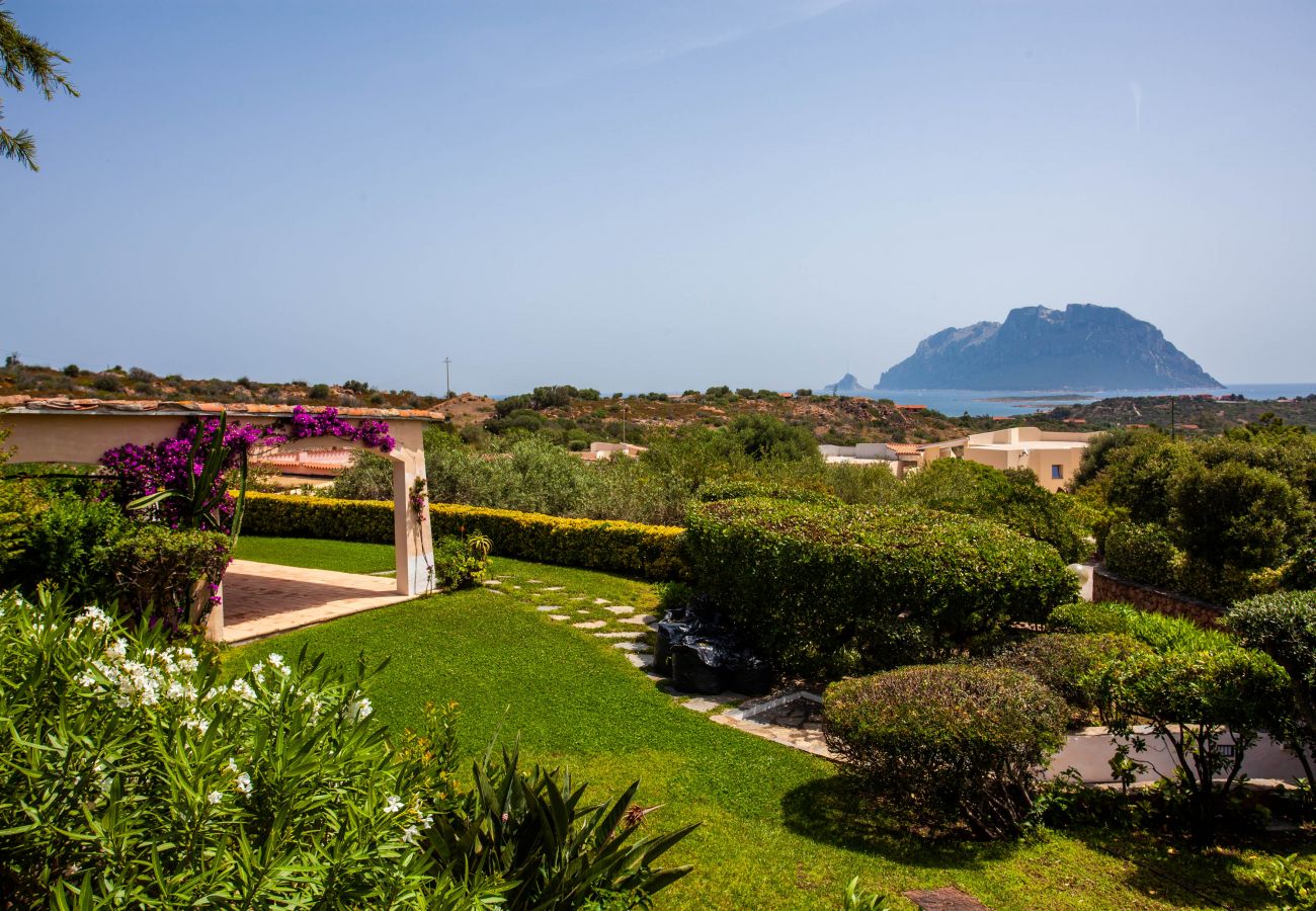 Villa Kalè - villa in affitto in Sardegna con vista panoramica casa vacanze Klodge