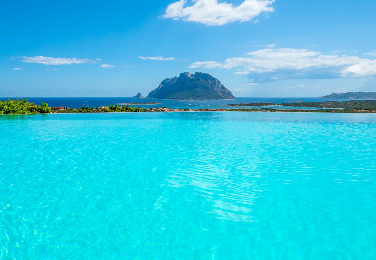 Villa Halliv - piscina a sfioro con vista mozzafiato sul Golfo di Tavolara, villa in affitto Klodge