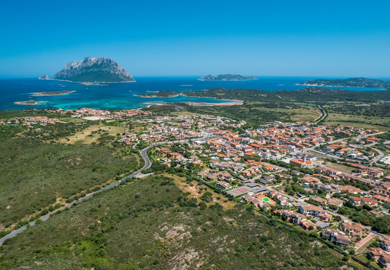 Villa Kiki - vista straordinaria sul golfo di Tavolara, villa con piscina privata in affitto Klodge