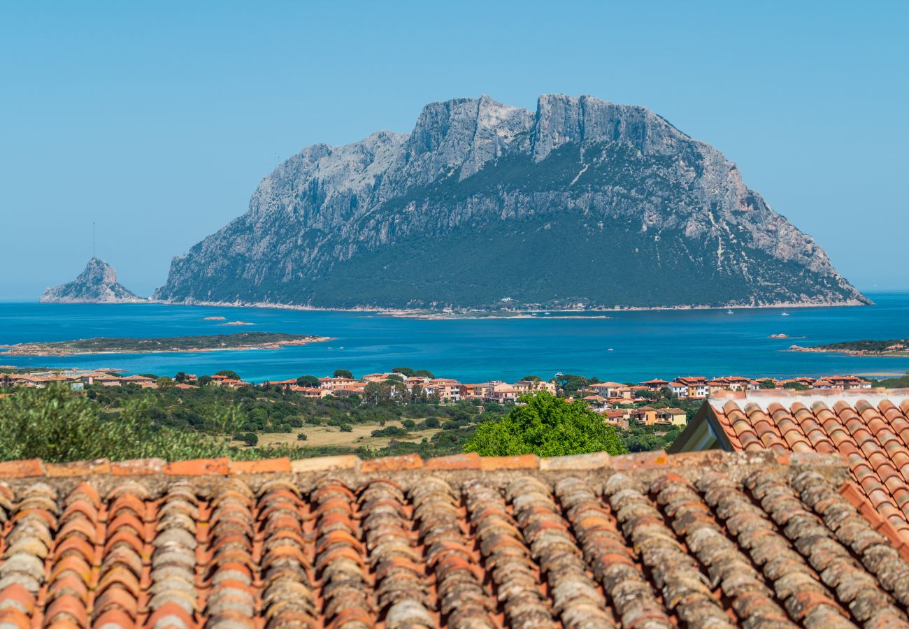 Villa Kiki - vista panoramica sull'isola di Tavolara, villa in affitto Klodge nella costa nord della Sardegna