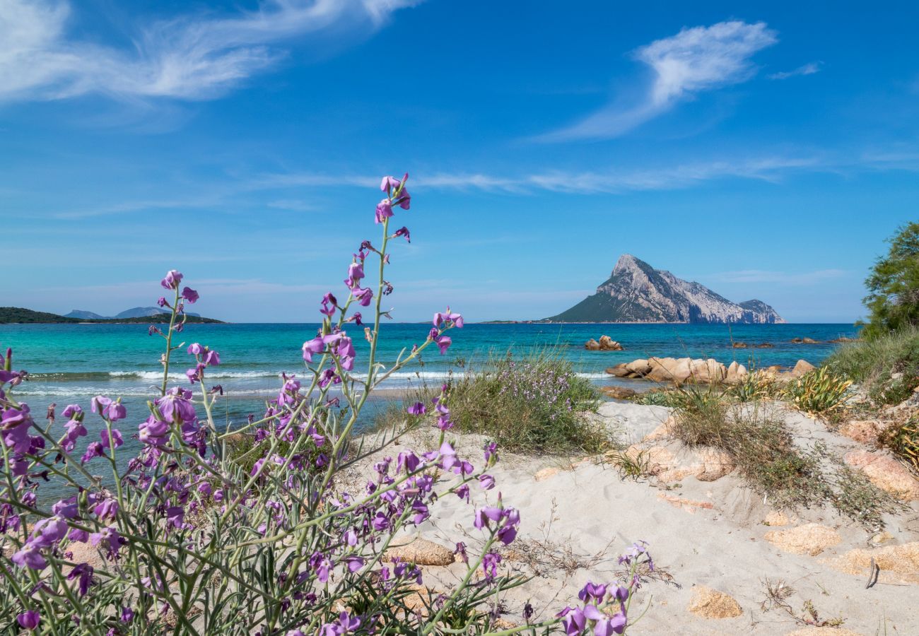 Spiaggia di Marina Maria - Perfetta per una vacanza al mare vicino a Murta Maria