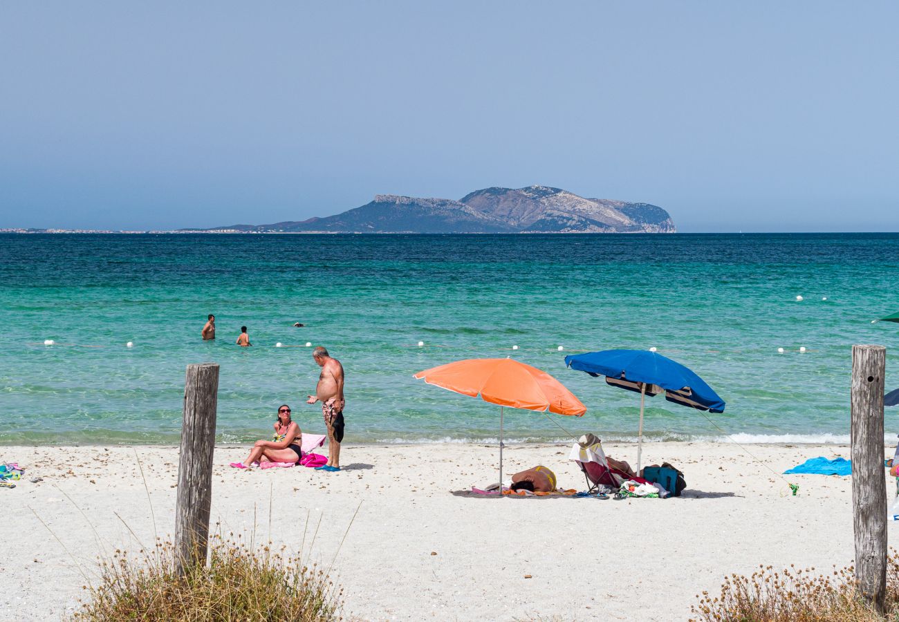 Appartamento a Olbia - Myrsine Viola - moderno flat con piscina, spiaggia