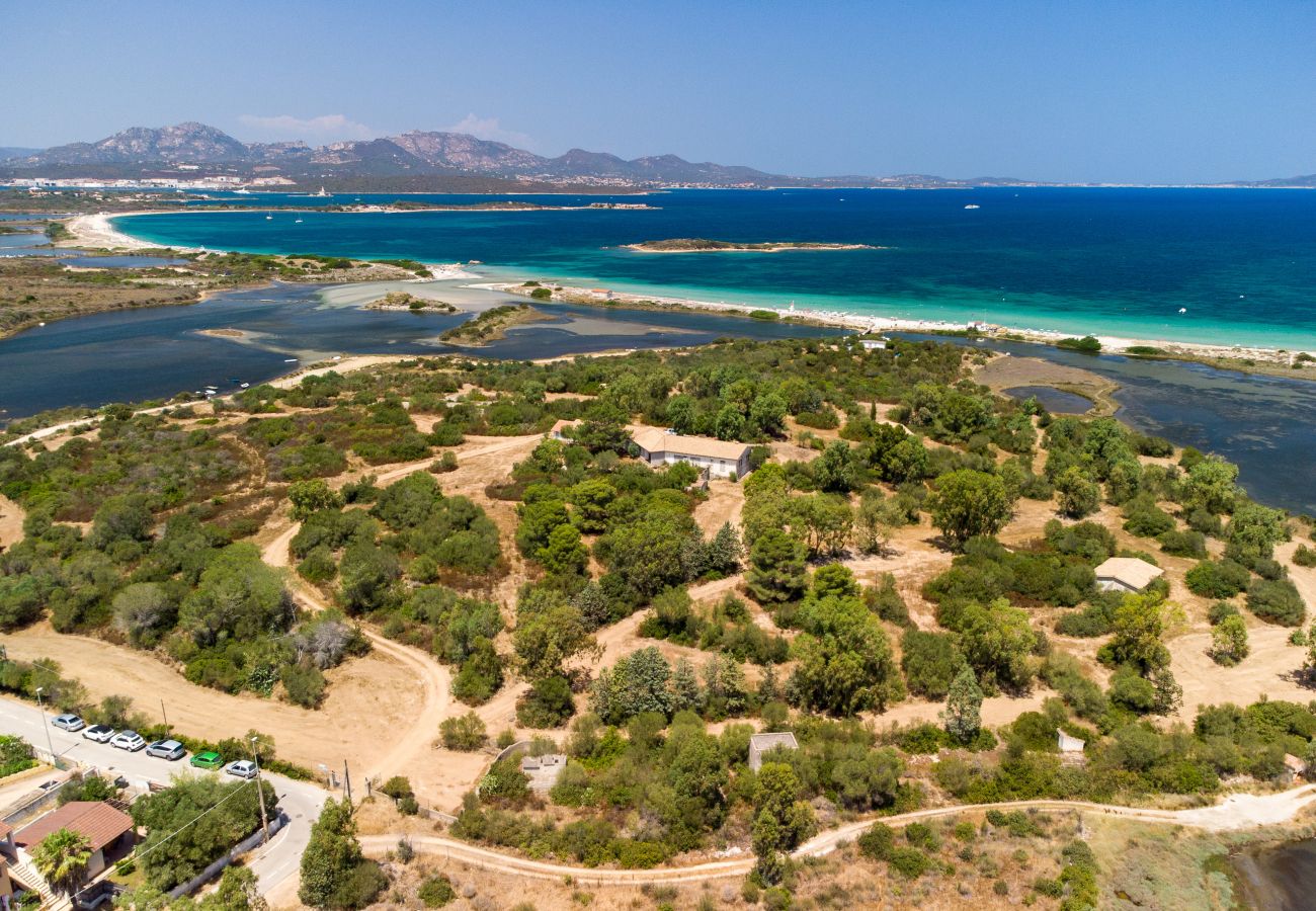 Appartamento a Olbia - Myrsine Genny - luminoso flat con vista piscina