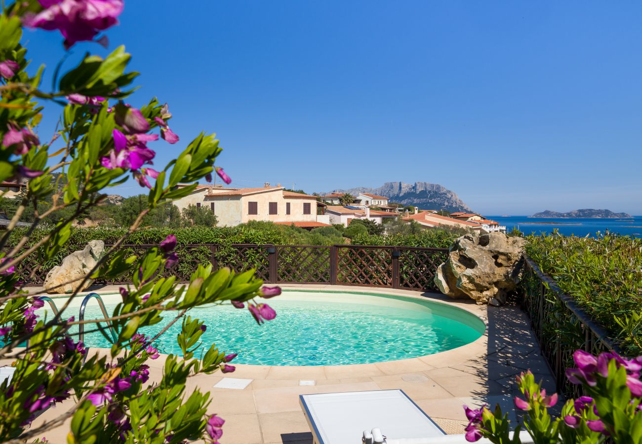 Villa Majra - piscina con sdraio prendisole, perfetta per giornate di relax, villa in Costa Smeralda