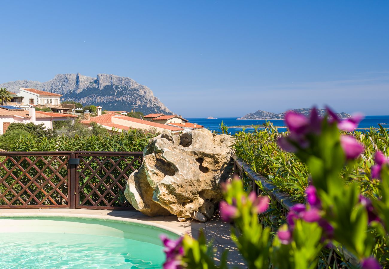 Villa Majra - piscina con vista mare, ideale per un bagno rinfrescante, casa vacanze a Porto Istana