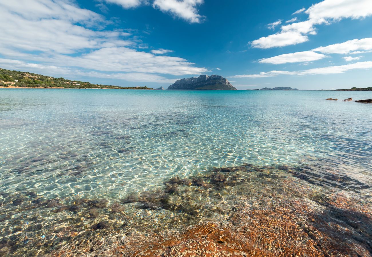 Villa Majra - spiaggia di Porto Istana, sabbia bianca e acque cristalline, villa in affitto in Sardegna