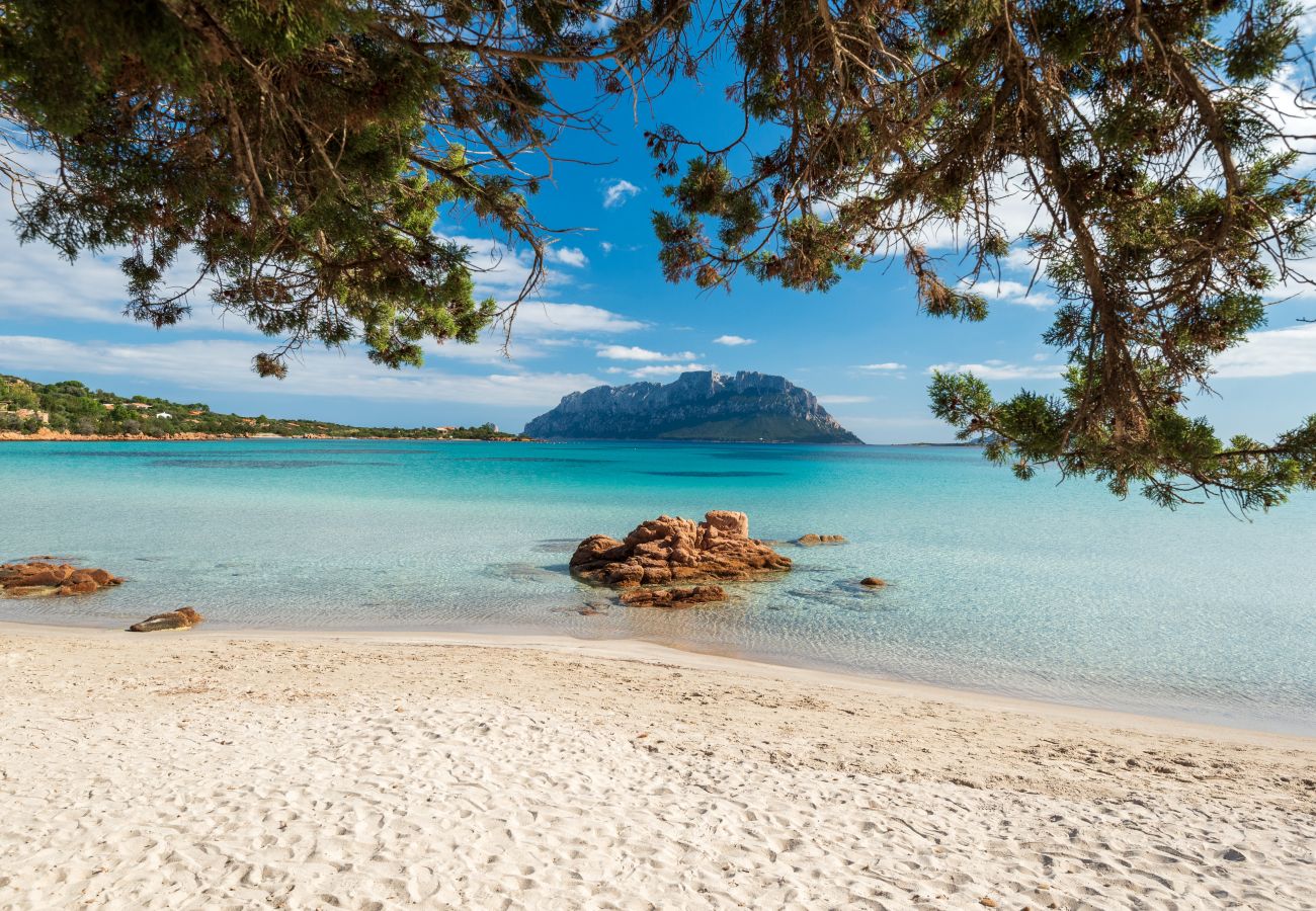 illa Majra - villa in affitto vicino al mare, spiaggia di Porto Istana, perfetta per famiglie