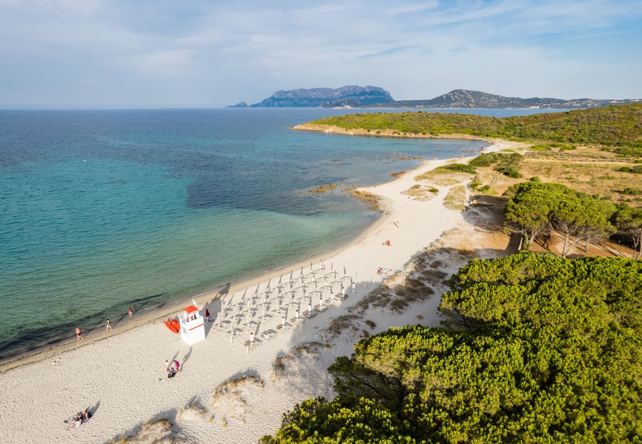 Villa Bay Pine - vista panoramica sulla spiaggia e sul mare in villa in affitto a Pittulongu