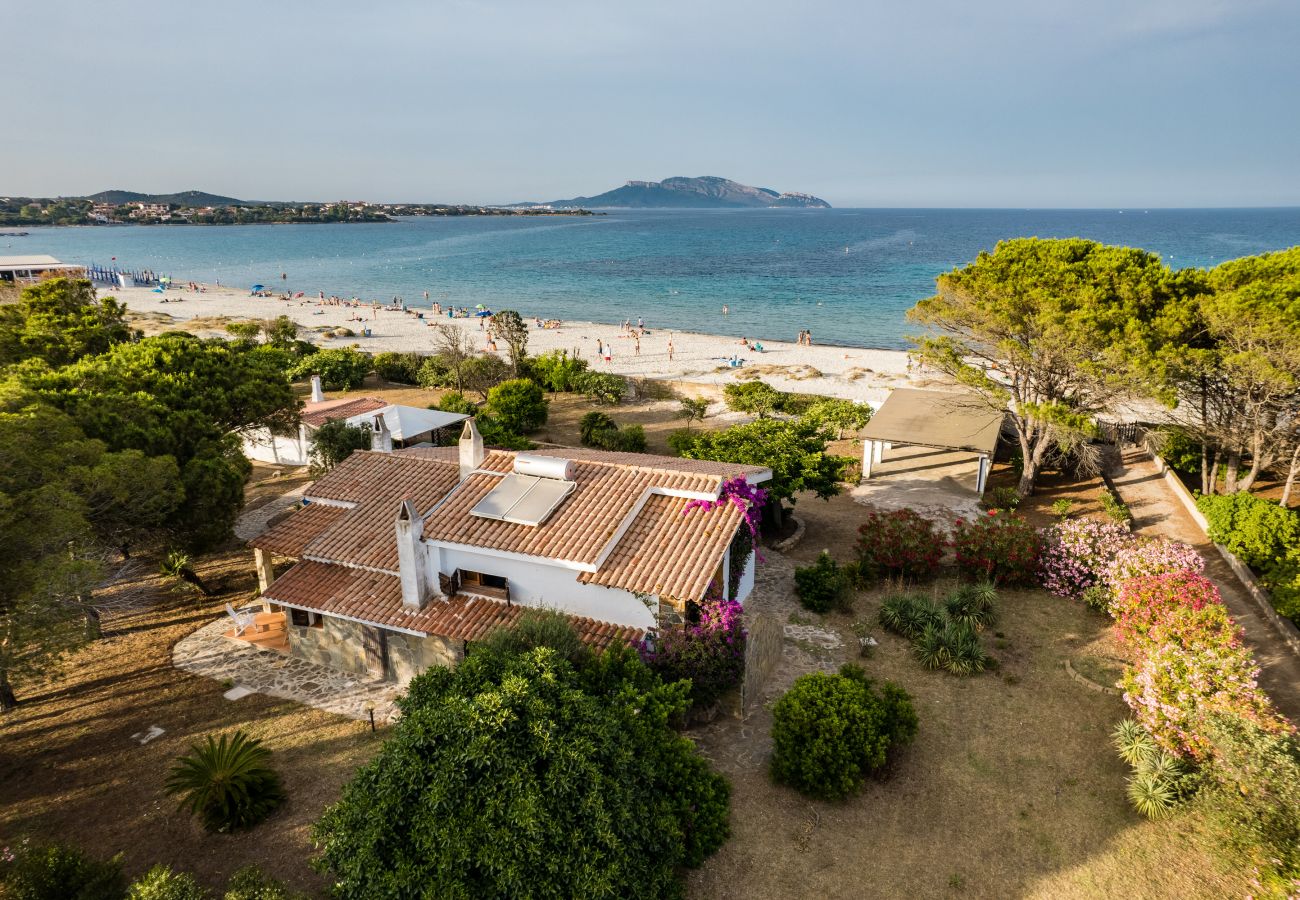 Villa Bay Pine - villa sulla spiaggia con vista mare in affitto a Pittulongu