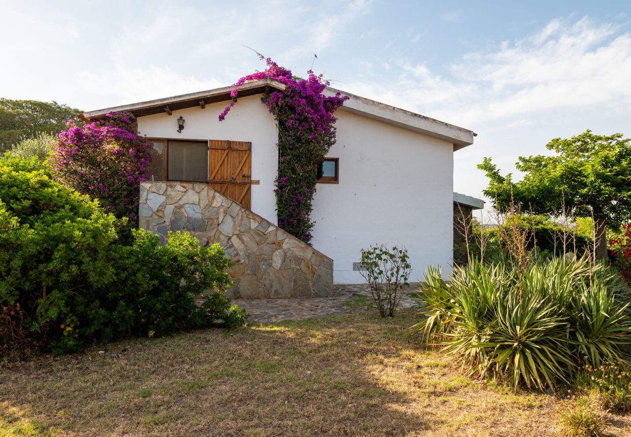 Villa Bay Pine - giardino curato con vista mare in villa in affitto a Pittulongu