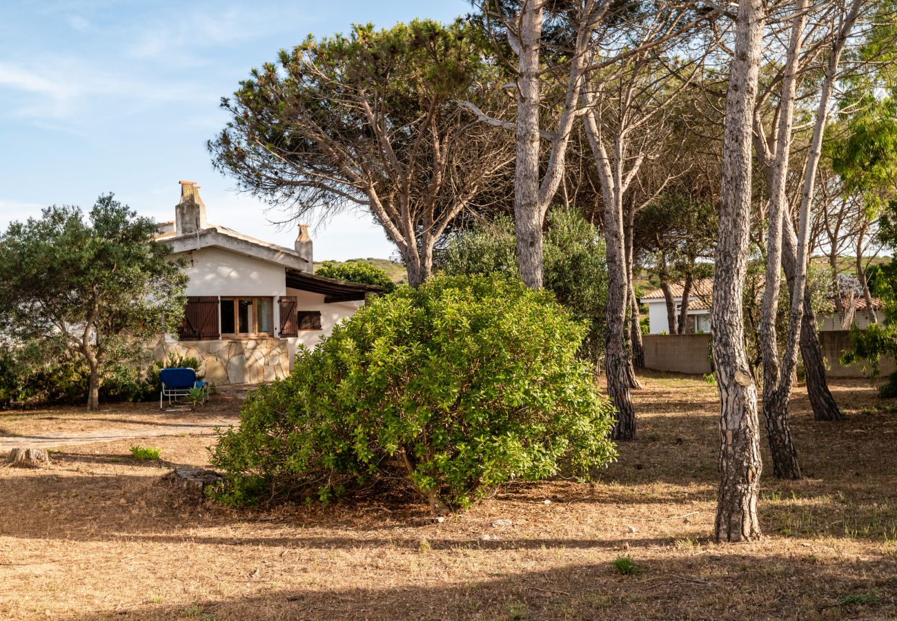 Villa Bay Pine - giardino con accesso alla spiaggia in villa in affitto a Olbia