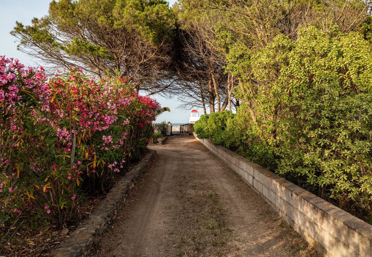 illa Bay Pine - sentiero privato verso la spiaggia in casa vacanze Klodge a Olbia