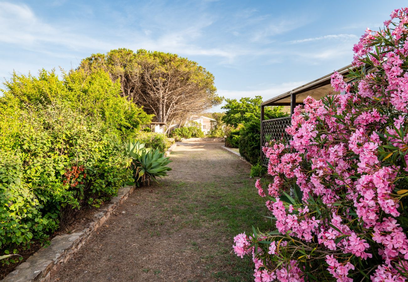 Villa a Olbia - Villa Bay Pine - accesso esclusivo sulla spiaggia di Pittulongu, wi-fi