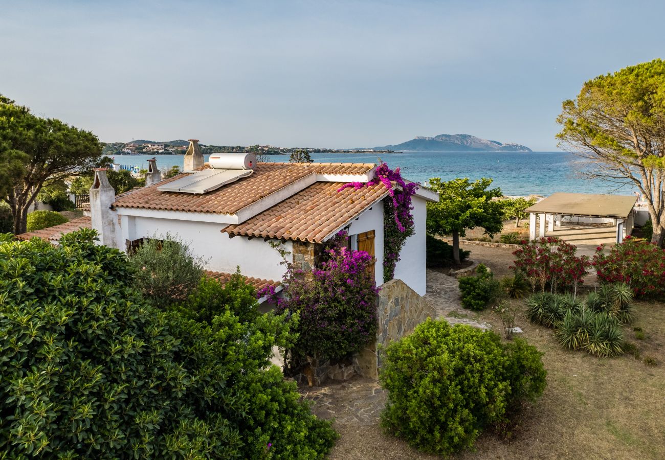 Villa Bay Pine - panorama mozzafiato sul mare in villa in affitto a Pittulongu gestita da Klodge