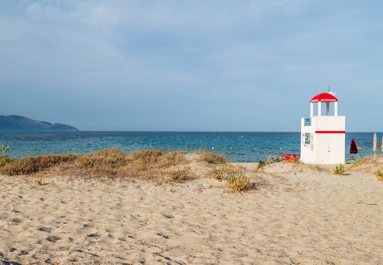 Villa Bay Pine - spiaggia di sabbia bianca di fronte alla villa in affitto a Pittulongu