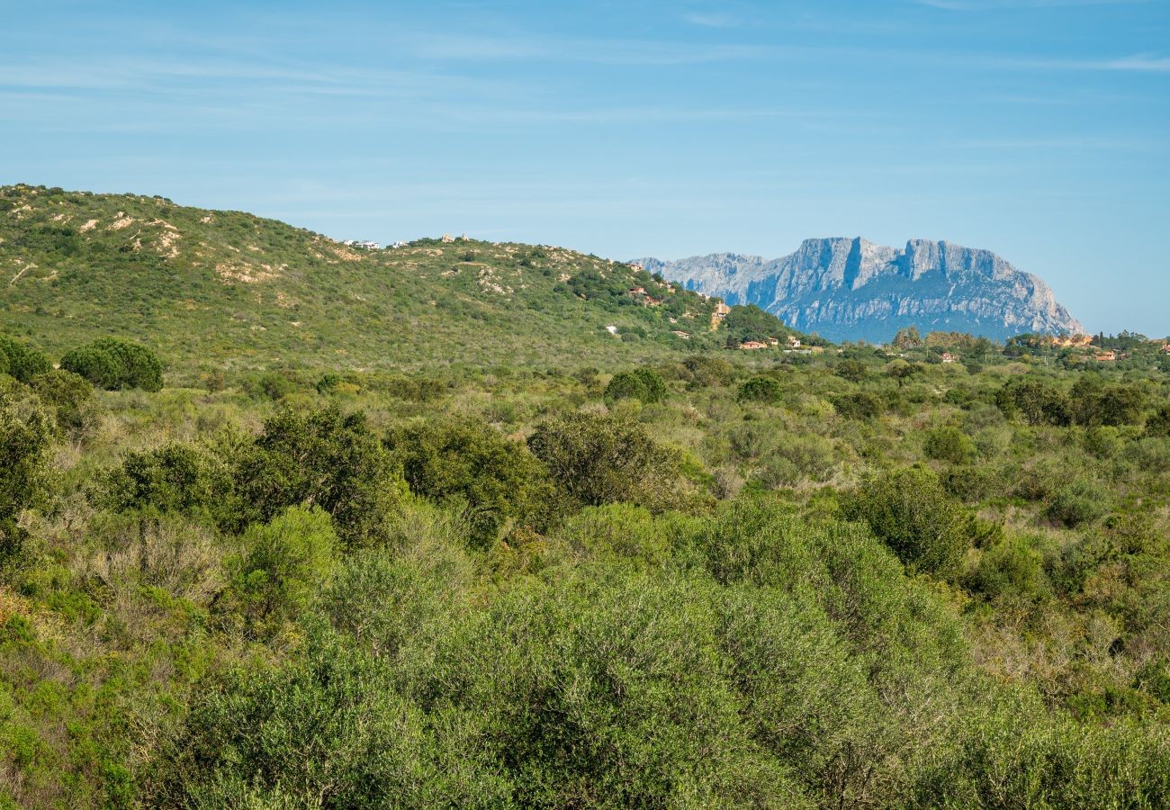 Appartamento a Olbia - Myrsine 54 - appartamento con vista su Marina Maria e Tavolara