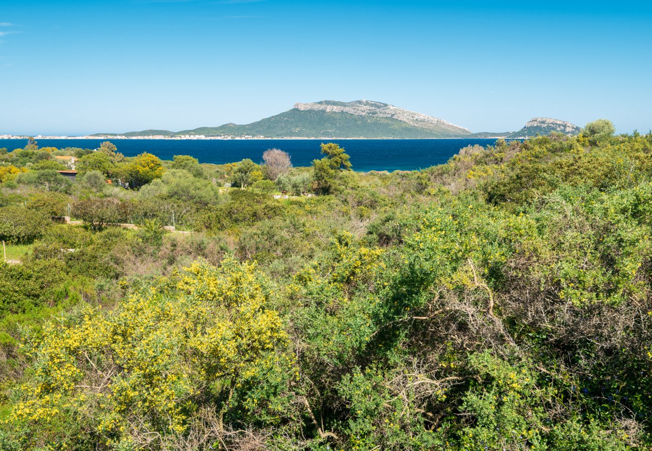 Villa Picker - elegante villa in affitto in Sardegna, ideale per vacanze rilassanti e immersioni nella natura