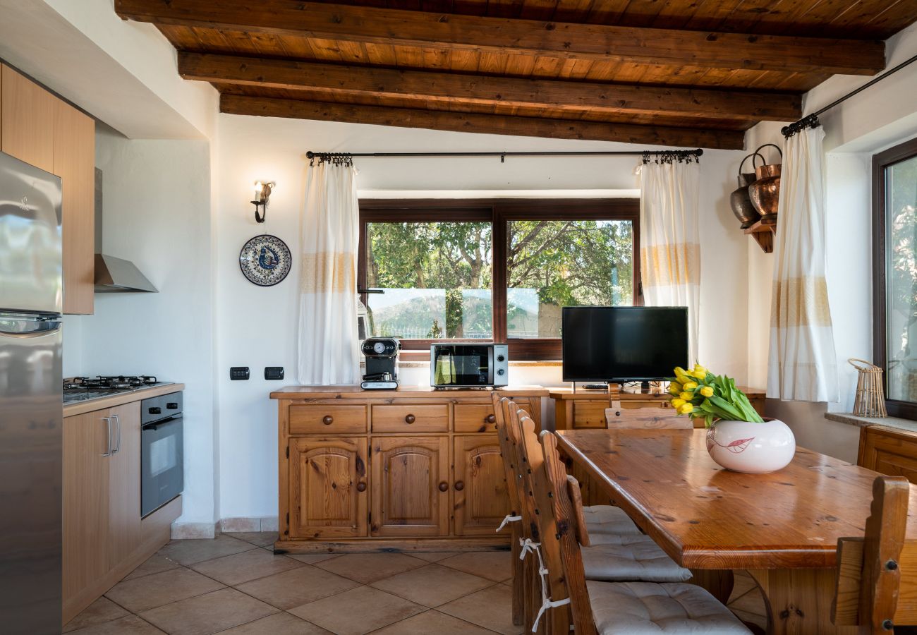 Villa Picker - cucina moderna con angolo cottura, villa in affitto a Golfo Aranci per famiglie e amici