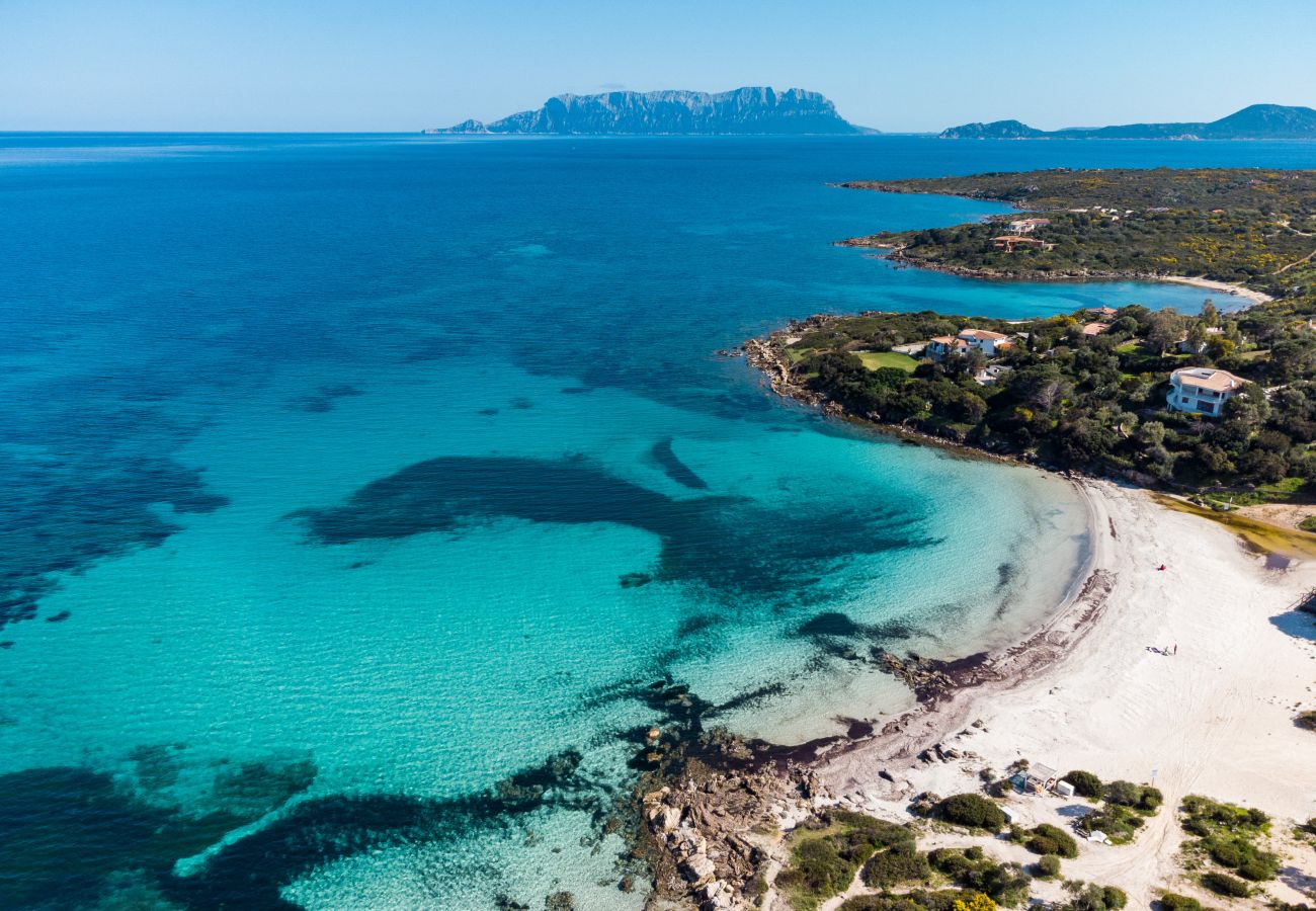 Villa Wave - Villa con vista panoramica, casa vacanze di lusso nord Sardegna