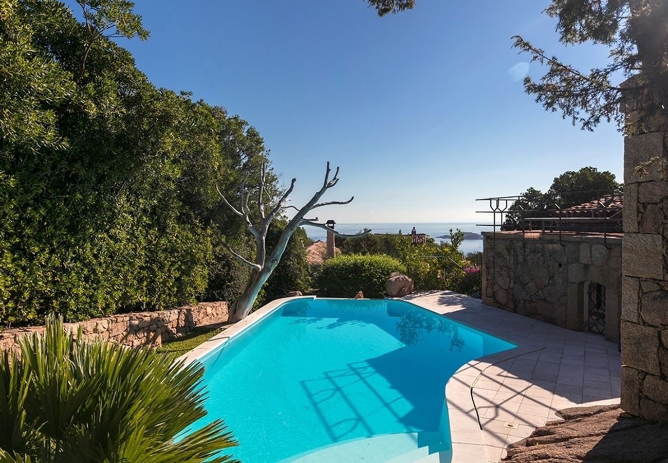 Villa Wave - Piscina privata circondata dalla natura, villa in affitto in Costa Smeralda