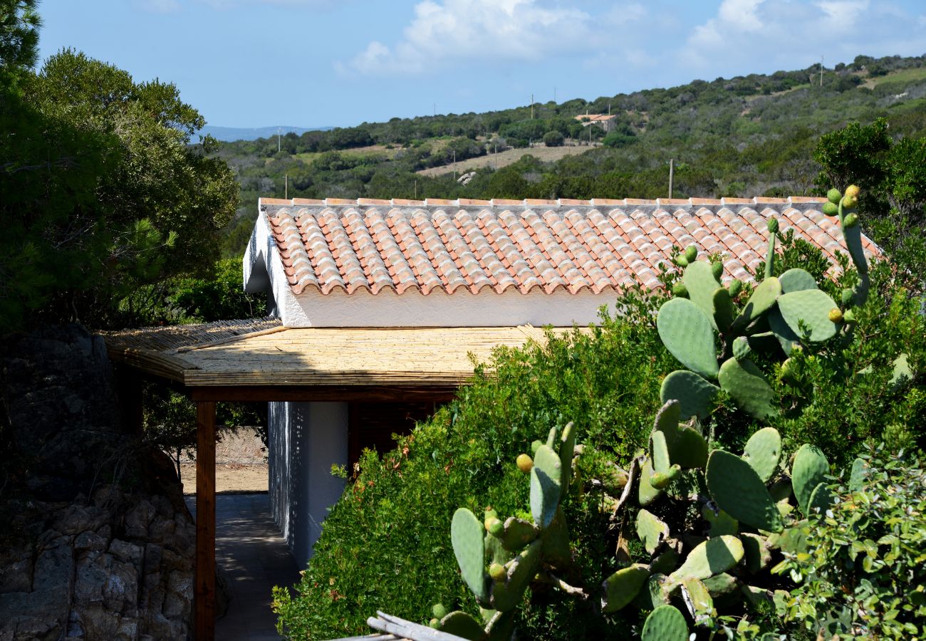 Villa Ibiscus - villa tradizionale con ampio giardino, in affitto a Palau vicino al Parco della Maddalena