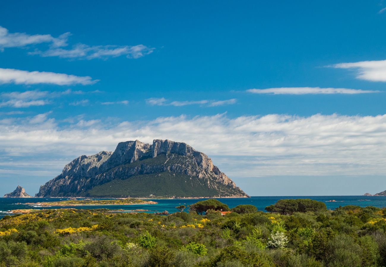 Appartamento a Porto San Paolo - Il Poggio 18 - appartamento vacanza con piscina in Sardegna