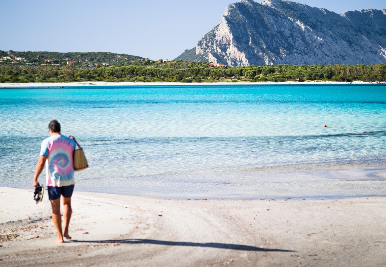 Villa Olive - Vacanze in villa con Klodge a pochi passi dalle migliori spiagge della Sardegna, comfort e relax