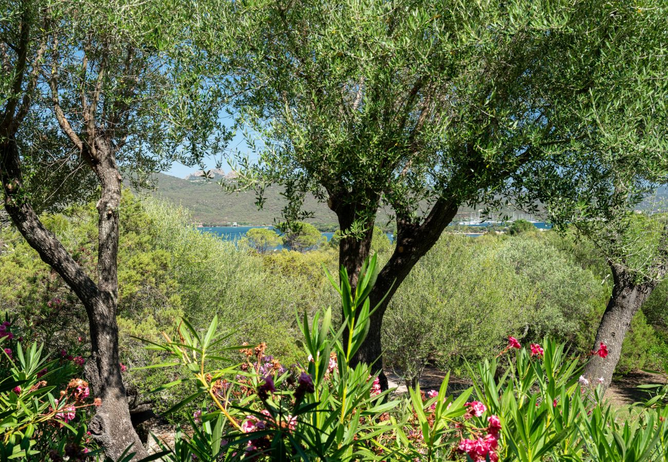 Appartamento a Porto Rotondo - Caletta Nest 88 - casa sul mare con piscina