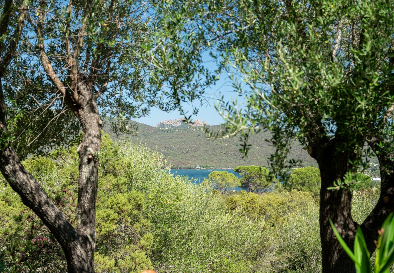 Appartamento a Porto Rotondo - Caletta Nest 88 - casa sul mare con piscina