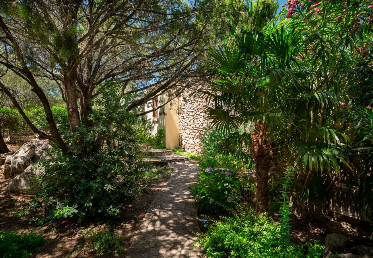 Appartamento a Porto Rotondo - Caletta Nest 88 - casa sul mare con piscina