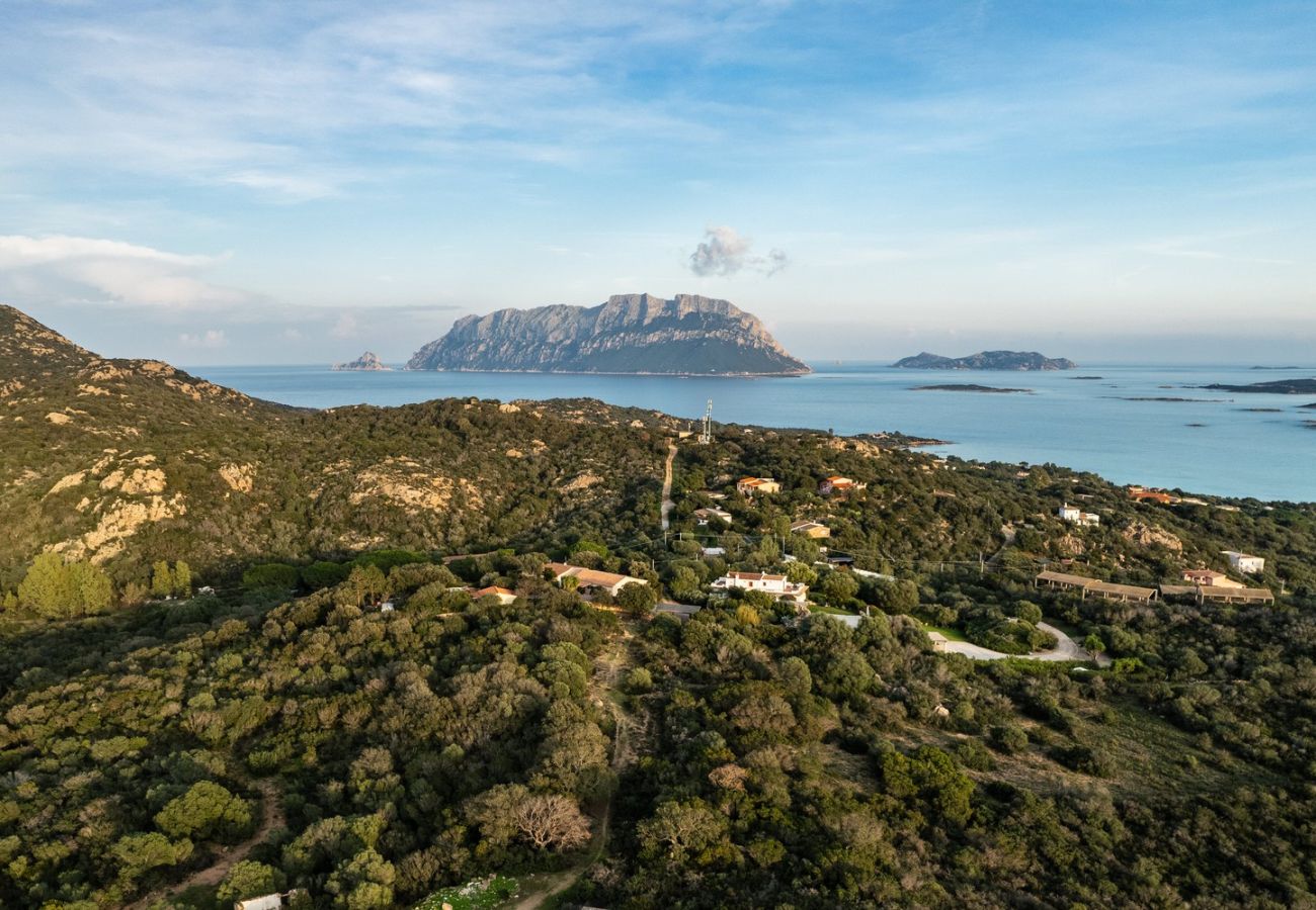 Villa a Olbia - Villa Aurazure