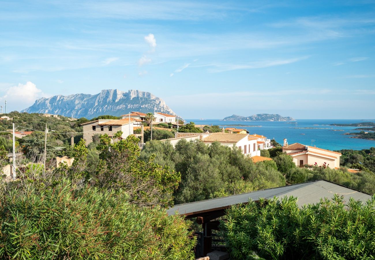 Villa a Olbia - Villa Aurazure