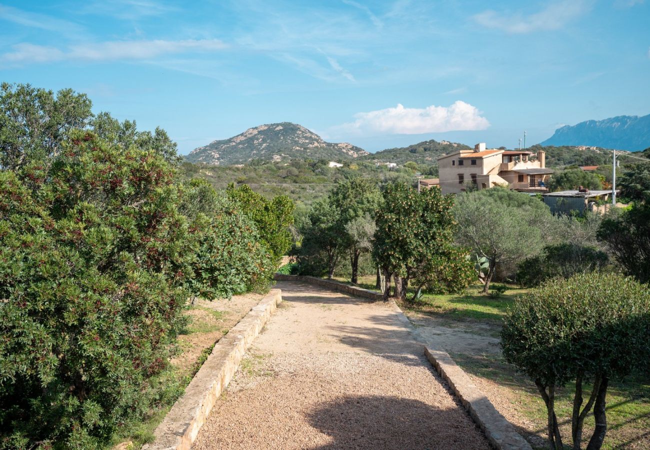 Villa a Olbia - Villa Aurazure