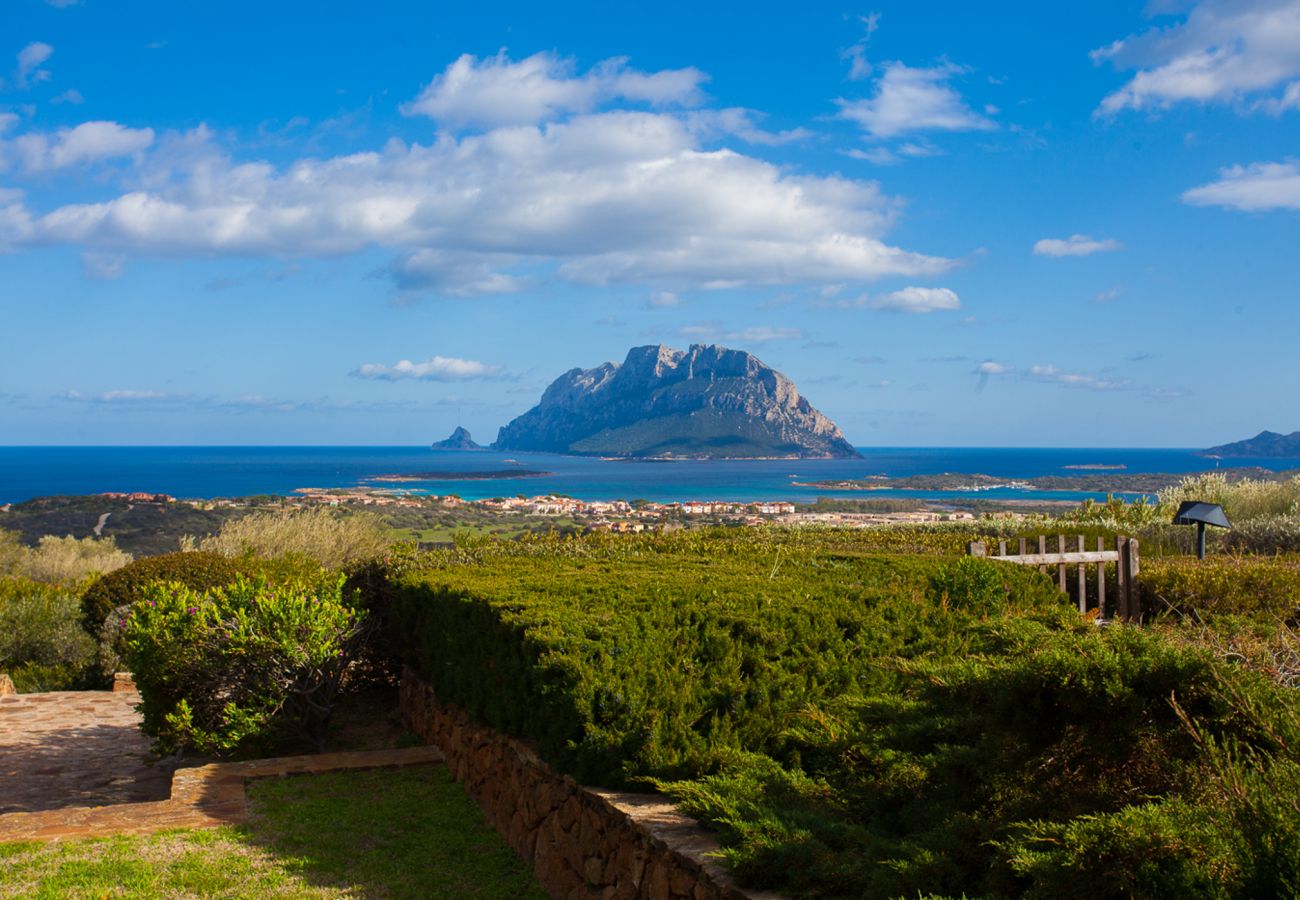 Villa Alberto - Garten mit Blick auf Tavolara in Mietvilla in Porto San Paolo