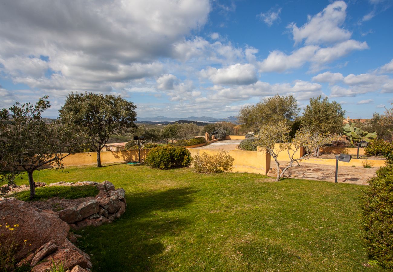 Villa Alberto - Garten mit englischem Rasen in Mietvilla in Porto San Paolo