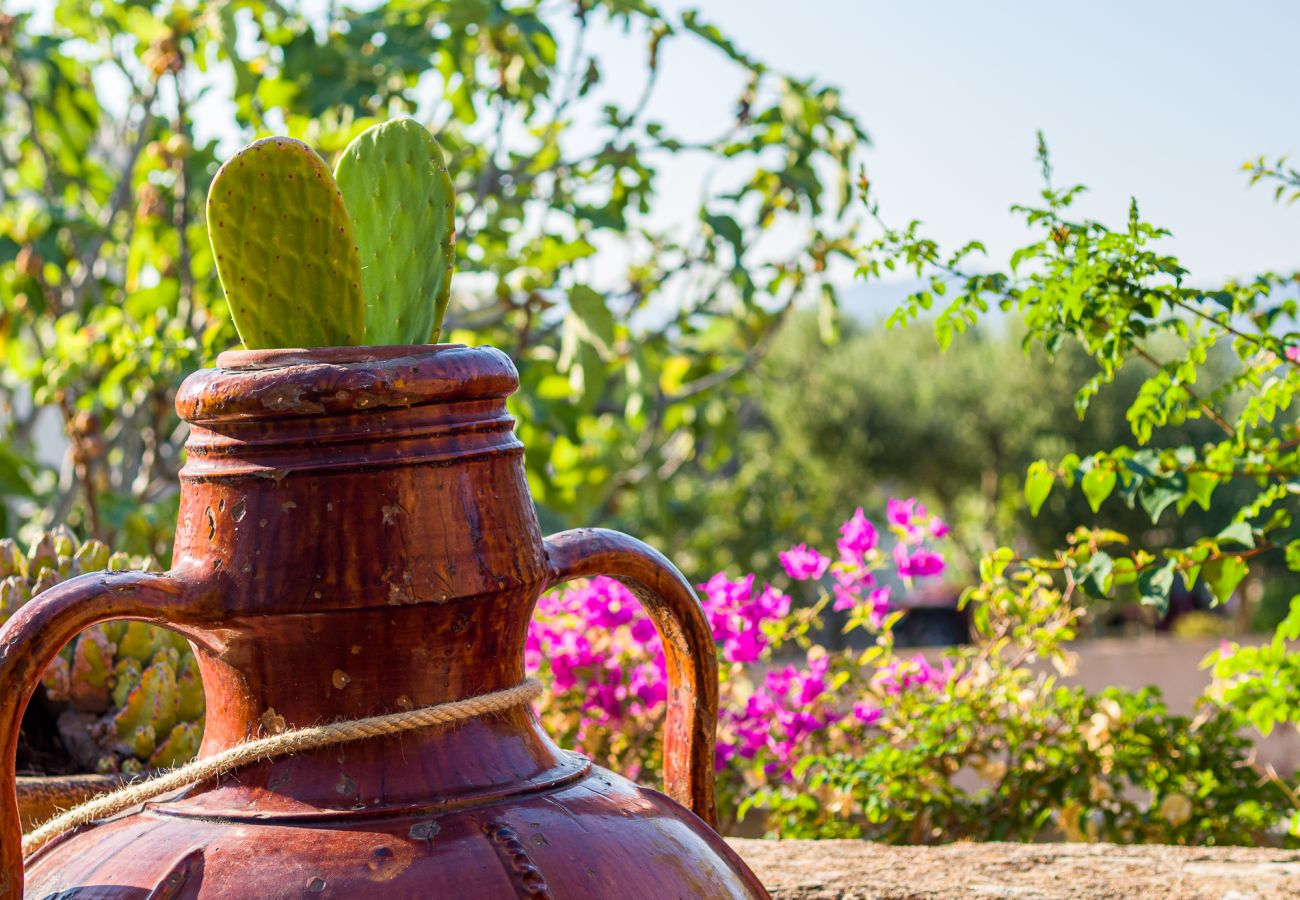 Villa Alberto - mediterraner Garten in Mietvilla auf Sardinien