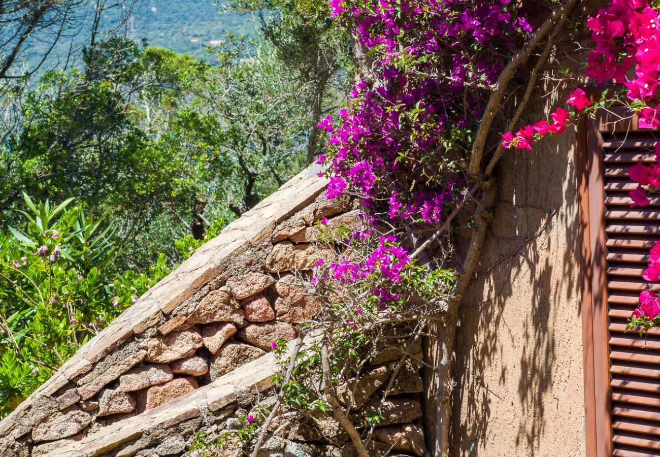 Ferienwohnung in Porto Rotondo - Caletta 10 - Wohnung am Meer mit Pool und Tennis