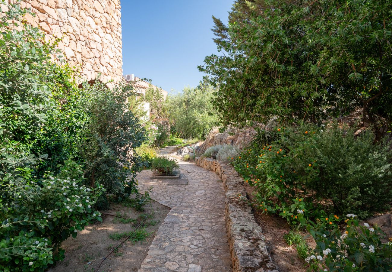 Ferienwohnung in Porto Rotondo - Caletta Nest 108 - Ferienhaus mit Pool