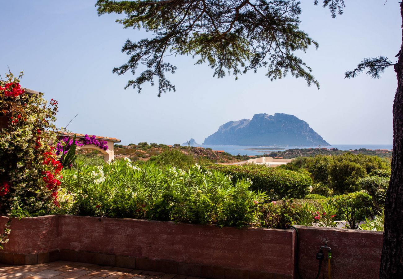 Villa Kalè - Veranda mit atemberaubendem Meerblick, Mietvilla in Costa Corallina