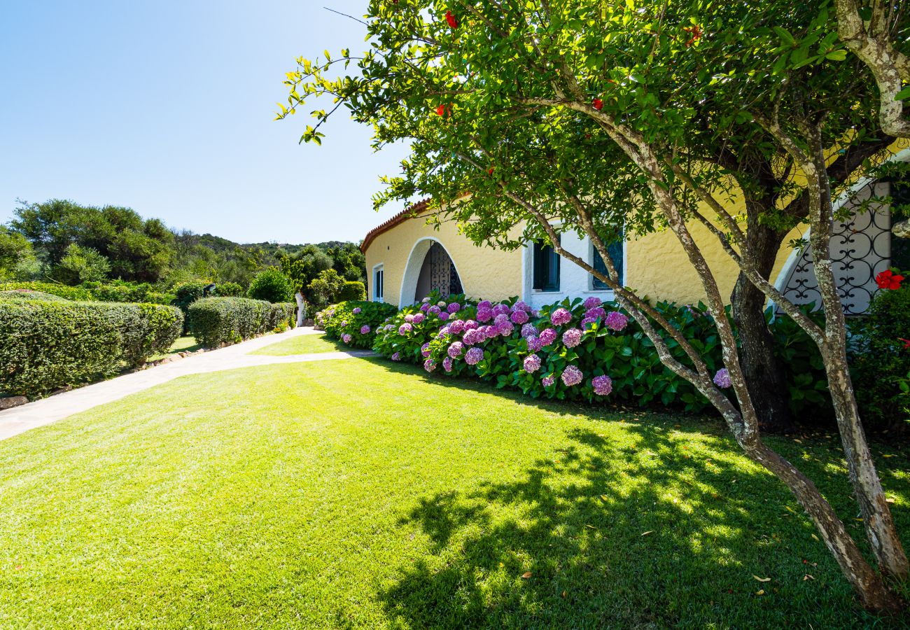 Ferienwohnung in Baia Sardinia - Rotonda Cottage 34 - moderne Wohnung mit Pool in Baja Sardinia