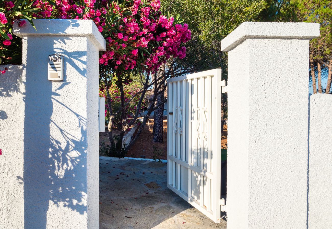 Villa Miriam - Mietvilla in Pittulongu, komfortables und gut ausgestattetes Ferienhaus auf Sardinien