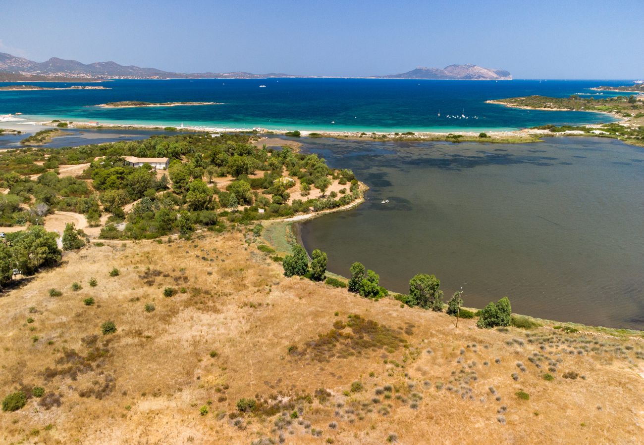 Ferienwohnung in Olbia - Myrsine Stella - moderne Wohnung vor der Bucht