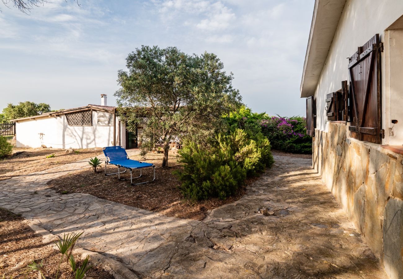 Villa in Olbia - Villa Bay Pine - direkter Zugang zum Pittulongu-Meer, wi-fi