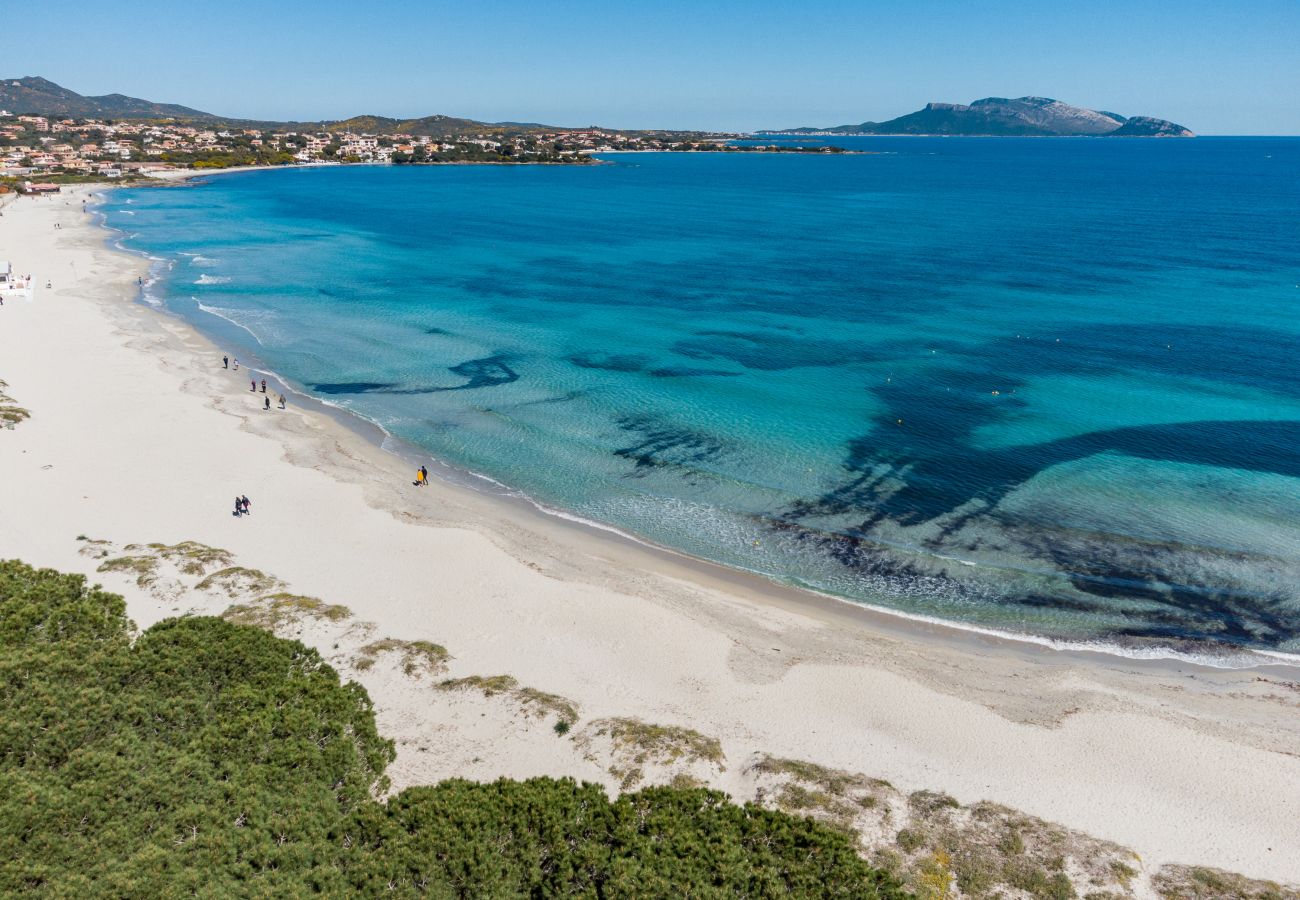 WLofts 12 - Villen zur Miete in der Nähe der schönsten Strände, Klodge-Verwaltung, Sardinien, Italien