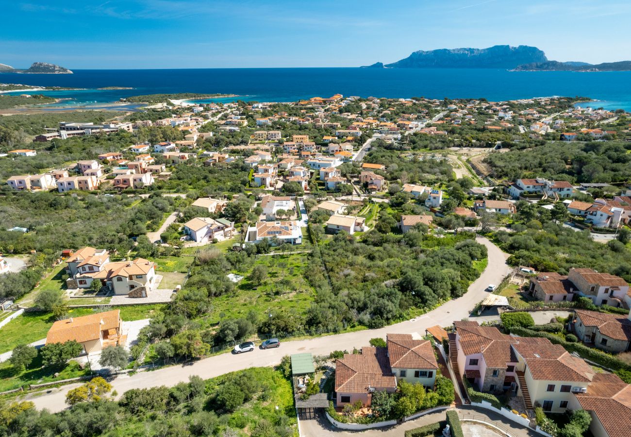 Ferienwohnung in Olbia - Sea Shell 17 - Rückzugsort mit Inselblick